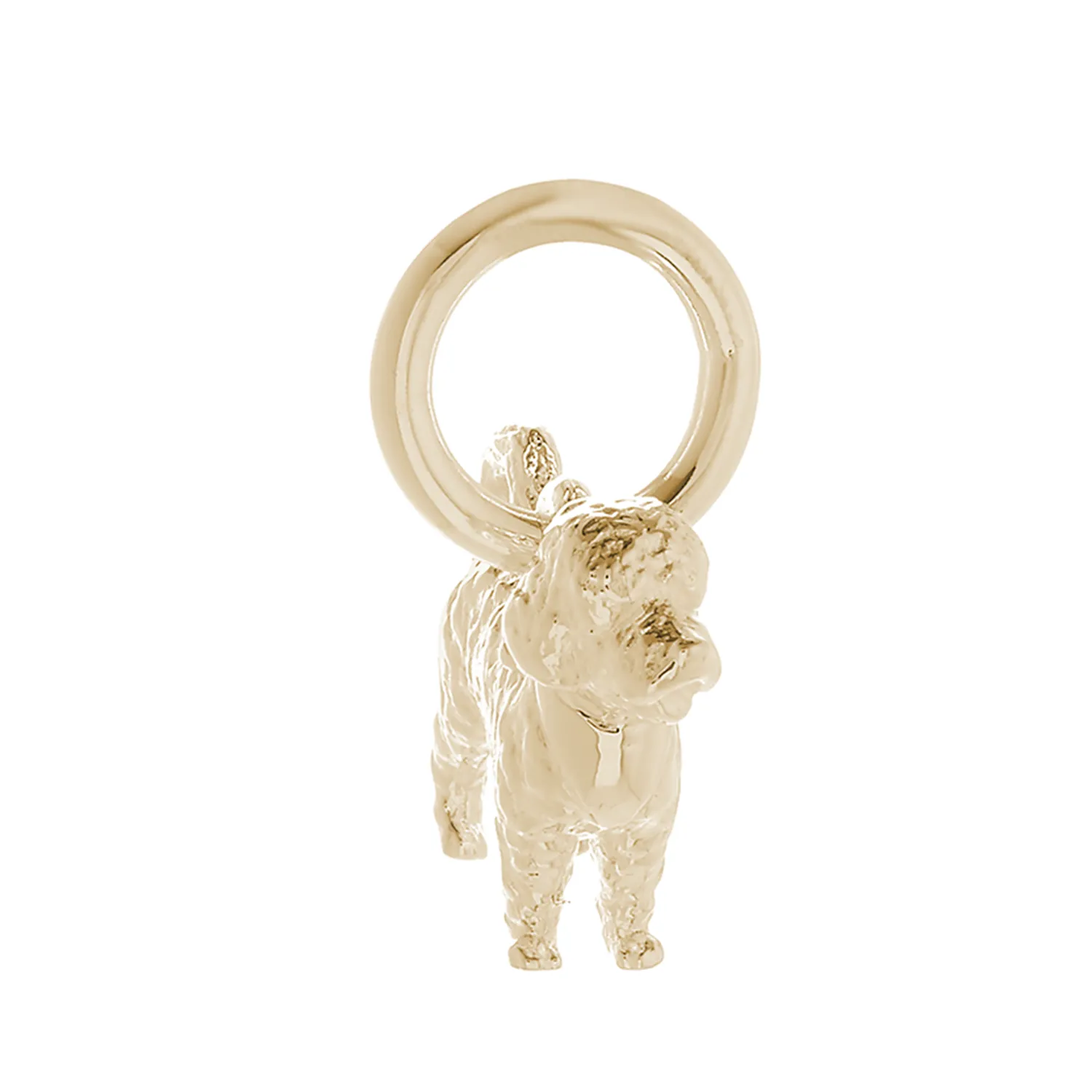 Cavapoo Solid Gold Dog Charm