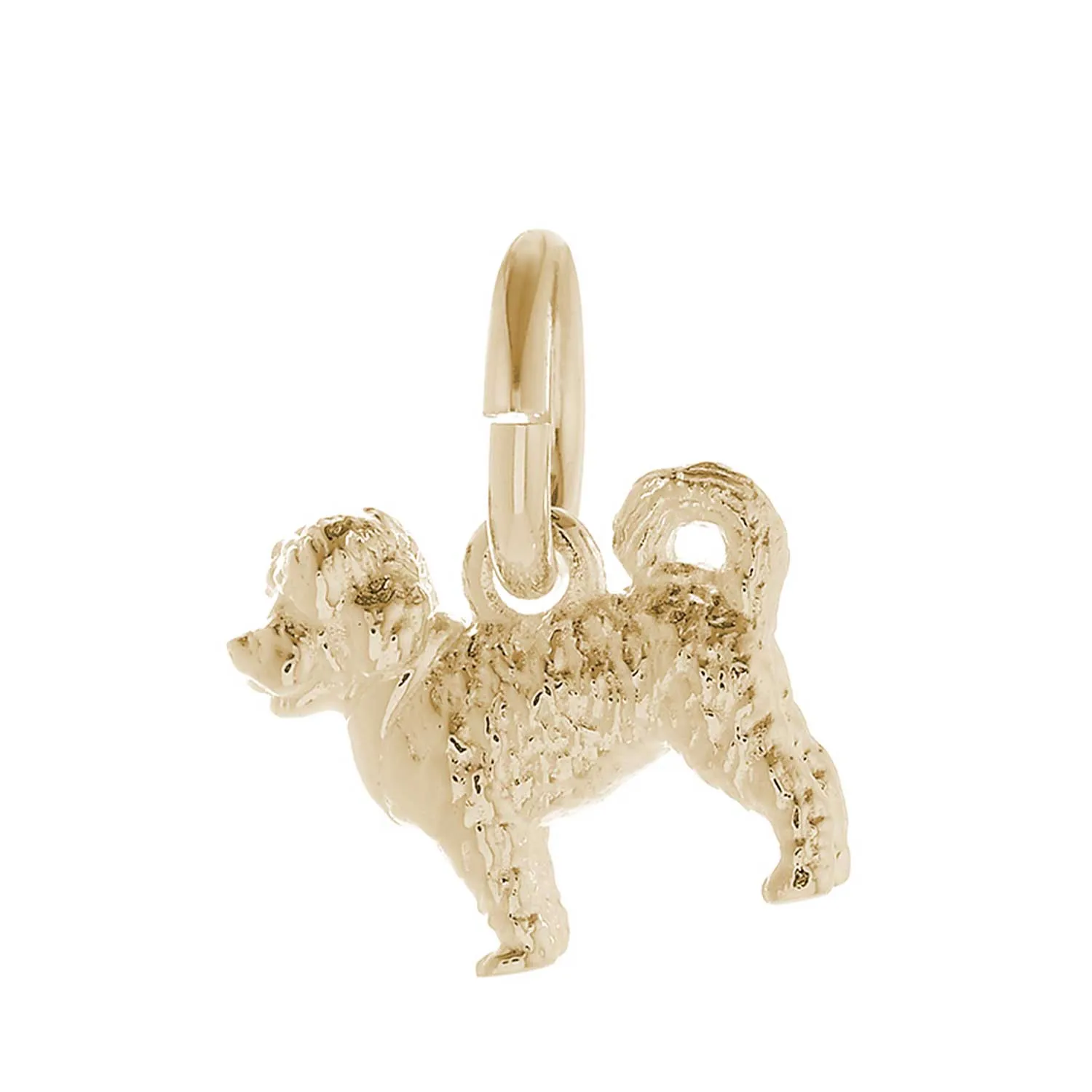 Cavapoo Solid Gold Dog Charm