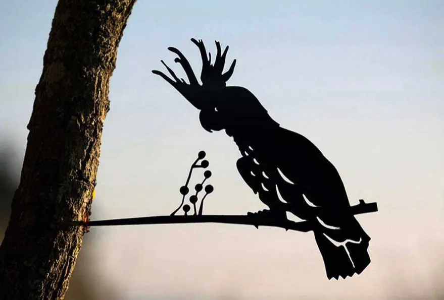 Cockatoo Regular